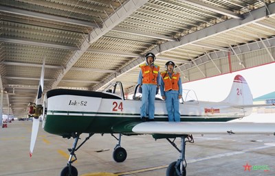Gallery - 	Những cánh én bay về phương Nam